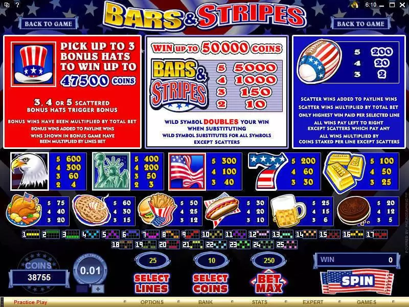 Bars and Stripes Microgaming Slots - Info and Rules