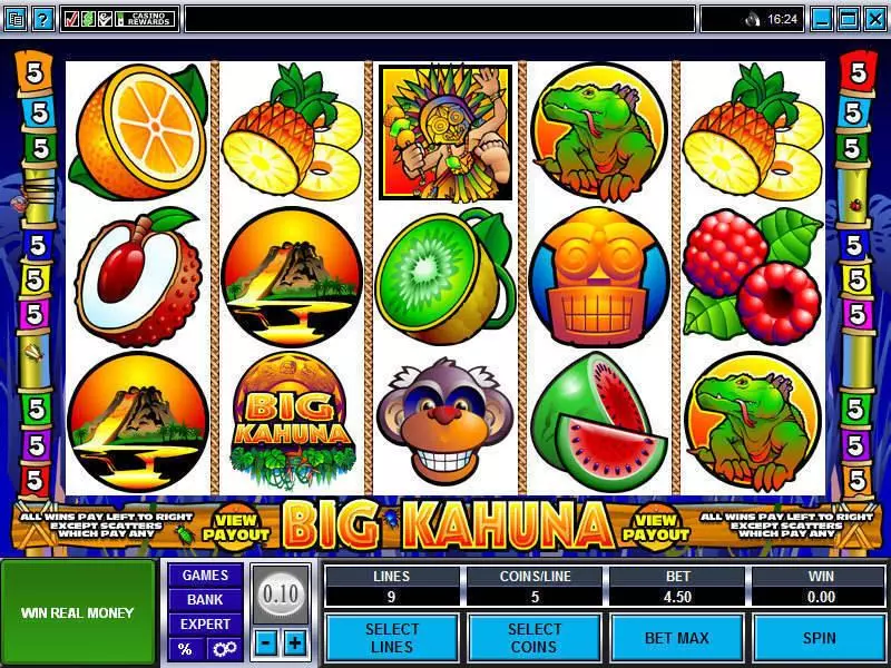 Big Kahuna Microgaming Slots - Main Screen Reels