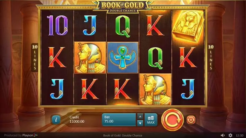 Book of Gold: Double Chance Playson Slots - Main Screen Reels