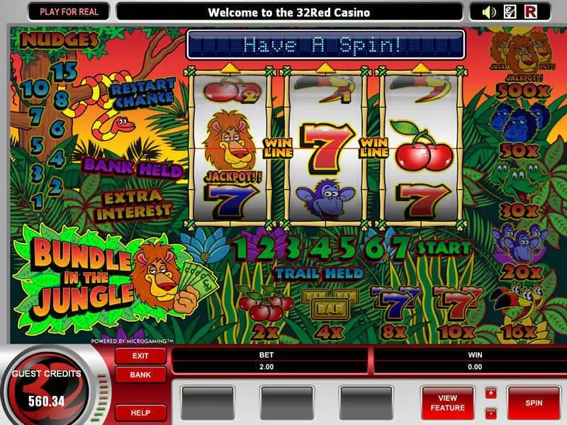 Bundle in the Jungle Microgaming Slots - Main Screen Reels