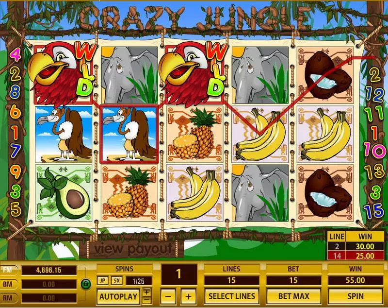 Crazy Jungle Topgame Slots - Main Screen Reels