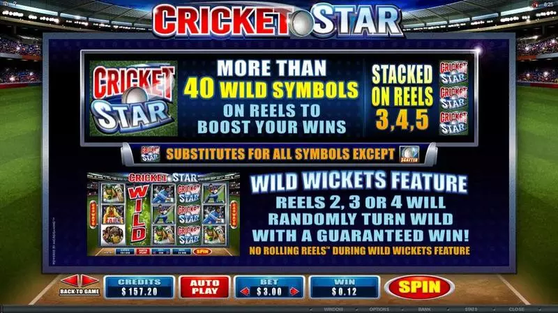 Cricket Star Microgaming Slots - Info and Rules