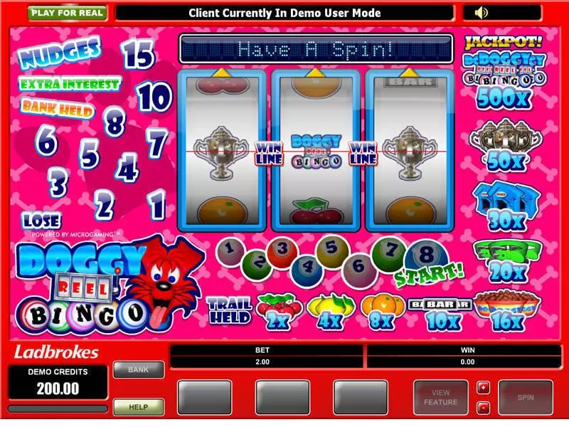 Doggy Reel Bingo Microgaming Slots - Main Screen Reels