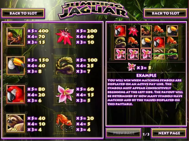 Jumping Jaguar Rival Slots - Info and Rules