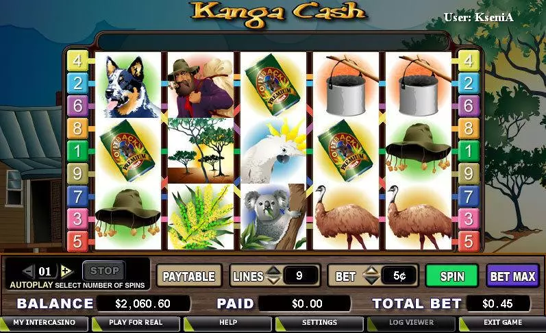 Kanga Cash CryptoLogic Slots - Main Screen Reels