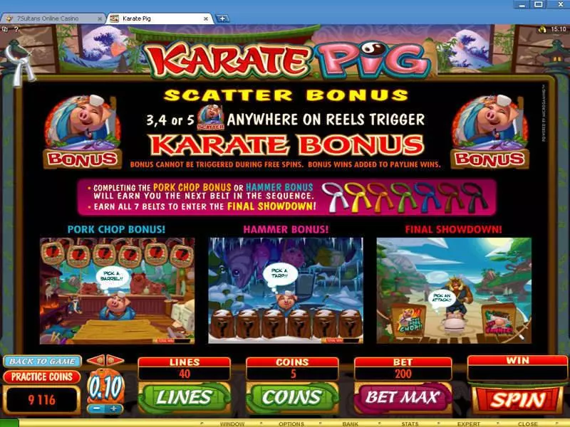 Karate Pig Microgaming Slots - Bonus 1