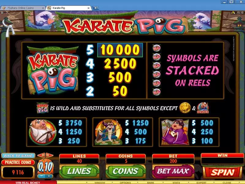 Karate Pig Microgaming Slots - Info and Rules