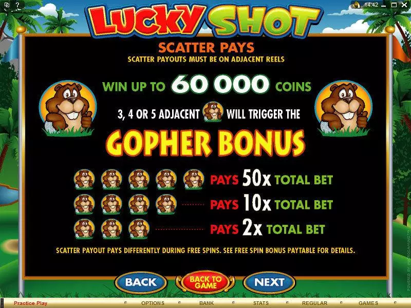 Lucky Shot Microgaming Slots - Info and Rules