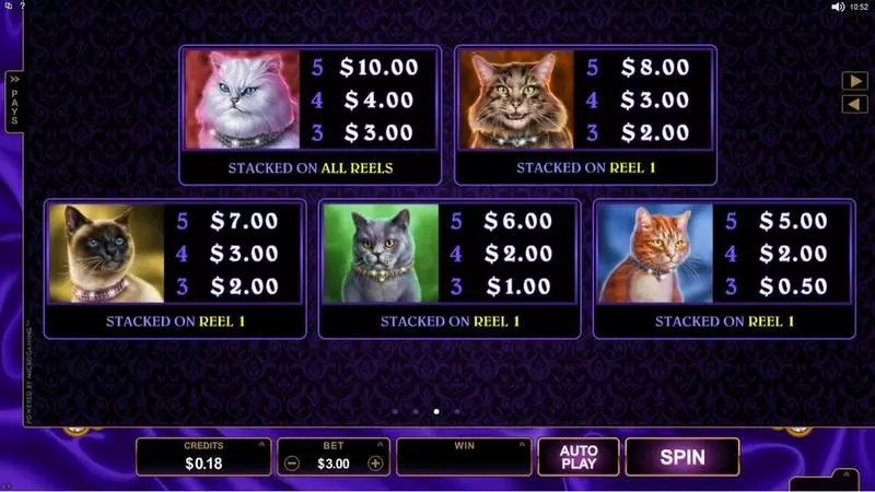 Pretty Kitty Microgaming Slots - Info and Rules