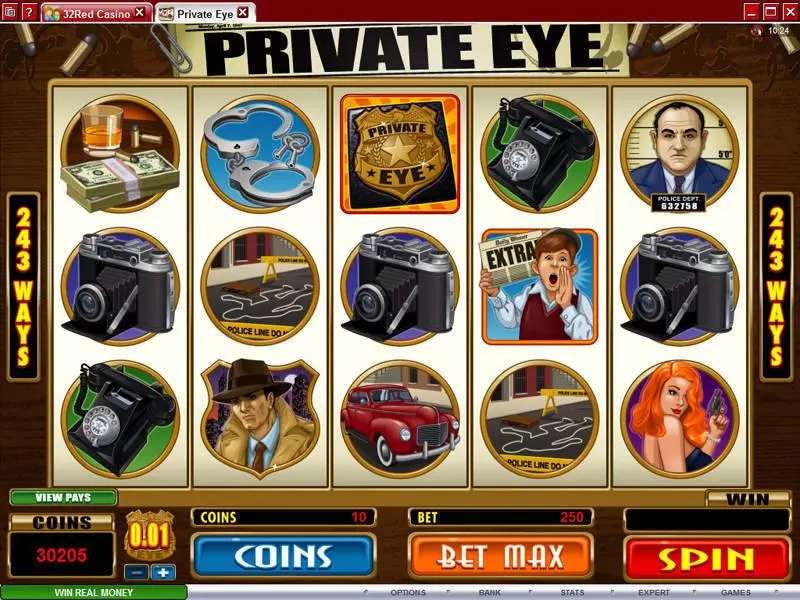 Private Eye Microgaming Slots - Main Screen Reels