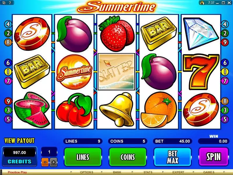 Summertime Microgaming Slots - Main Screen Reels