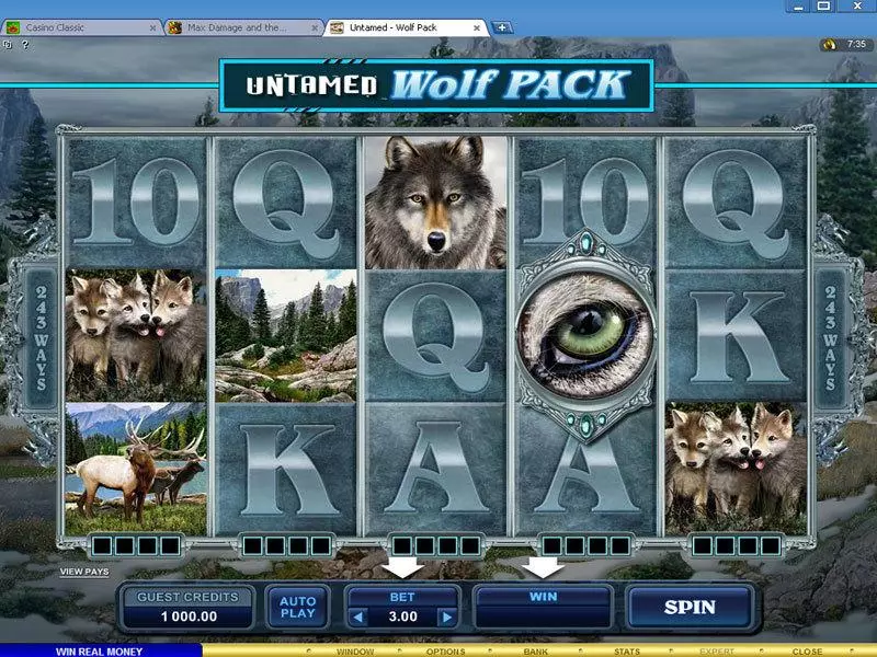 Untamed - Wolf Pack Microgaming Slots - Main Screen Reels