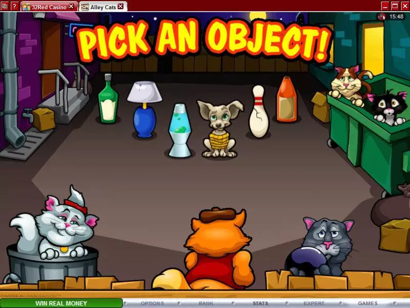 Alley Cats Microgaming Slots - Bonus 2