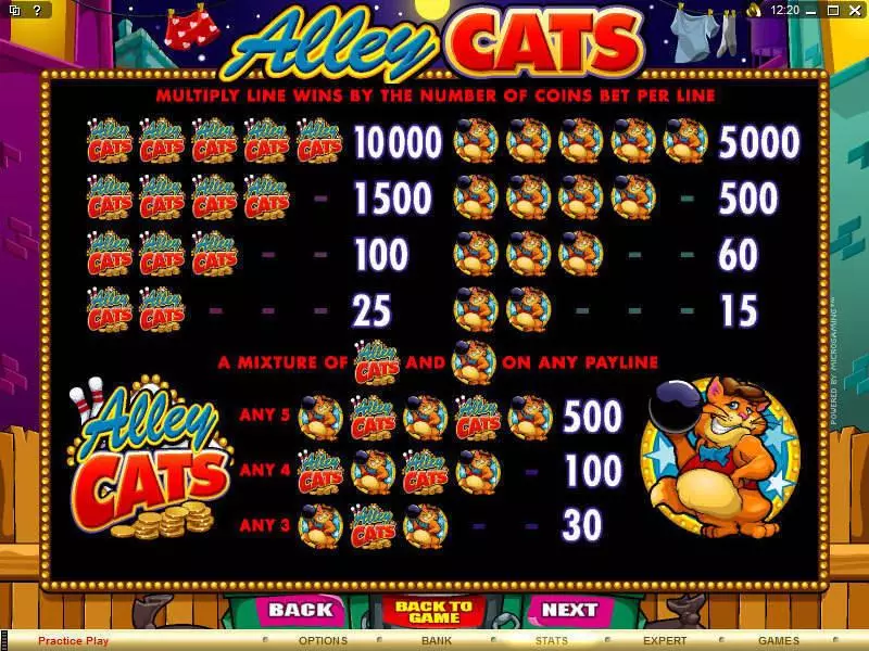 Alley Cats Microgaming Slots - Info and Rules