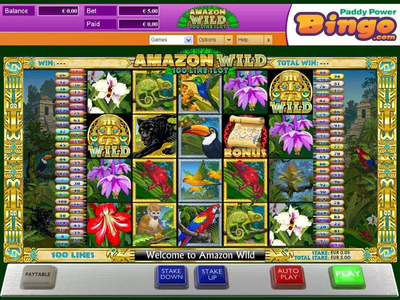 Amazon Wild Amaya Slots - Main Screen Reels