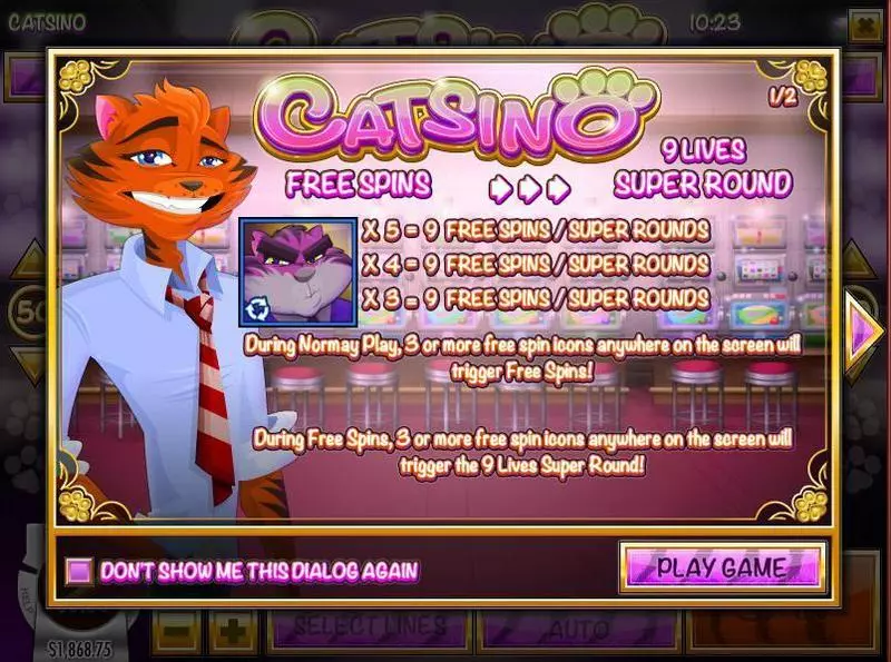 Catsino Rival Slots - Info and Rules