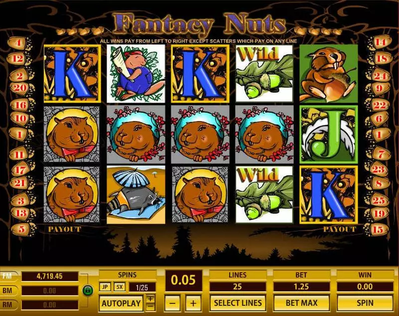 Fantacy Nuts Topgame Slots - Main Screen Reels