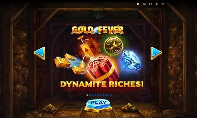 Gold Fever Red Tiger Gaming Slots - Bonus 2