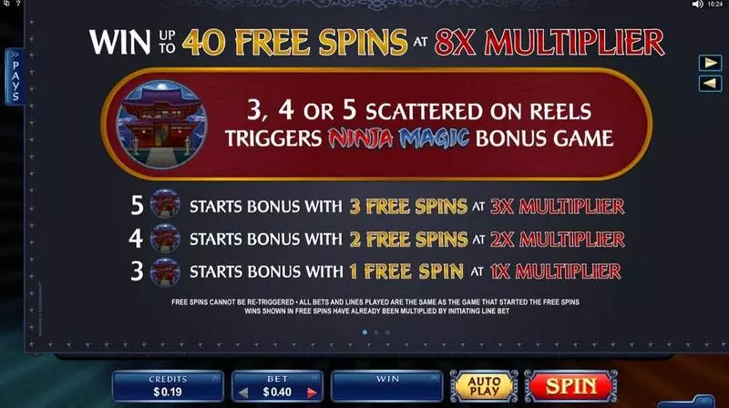 Ninja Magic Microgaming Slots - Info and Rules
