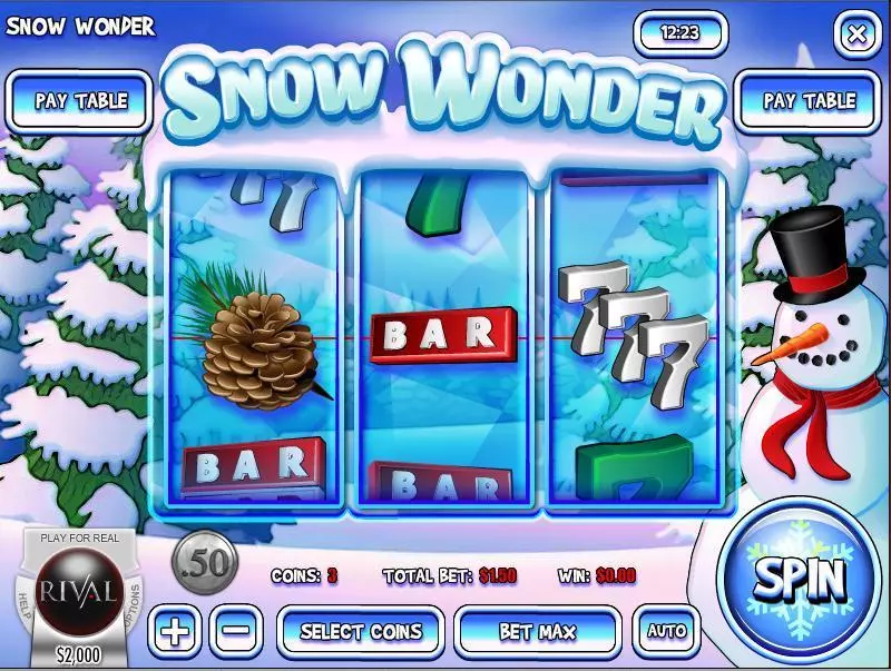 Snow Wonder Rival Slots - Main Screen Reels